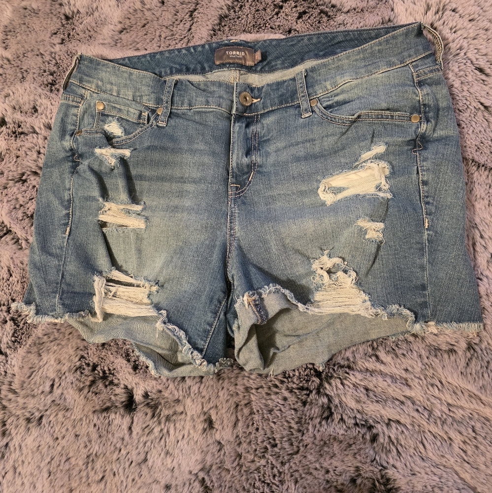 5 Inch Vintage Stretch Mid-Rise Distressed Shorts Size 16